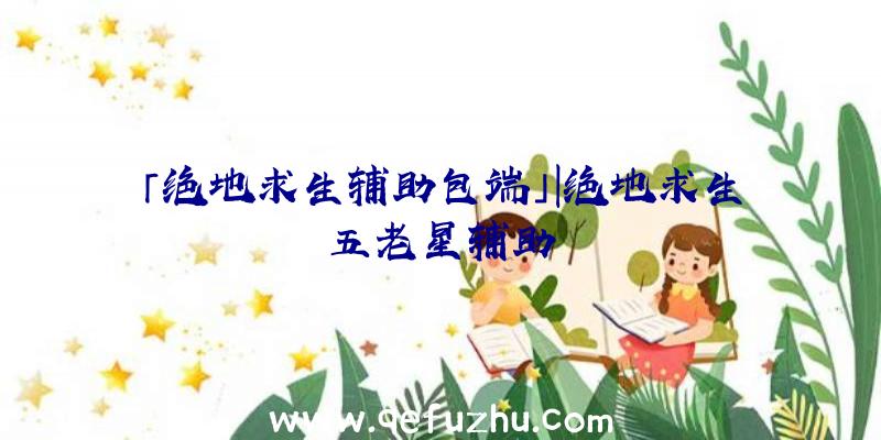 「绝地求生辅助包端」|绝地求生五老星辅助